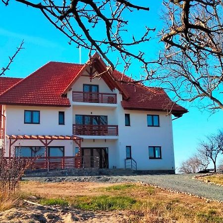 Surdesti  Casa Comilor Bed & Breakfast エクステリア 写真