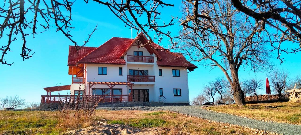 Surdesti  Casa Comilor Bed & Breakfast エクステリア 写真